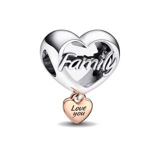New heart family pandora style charm